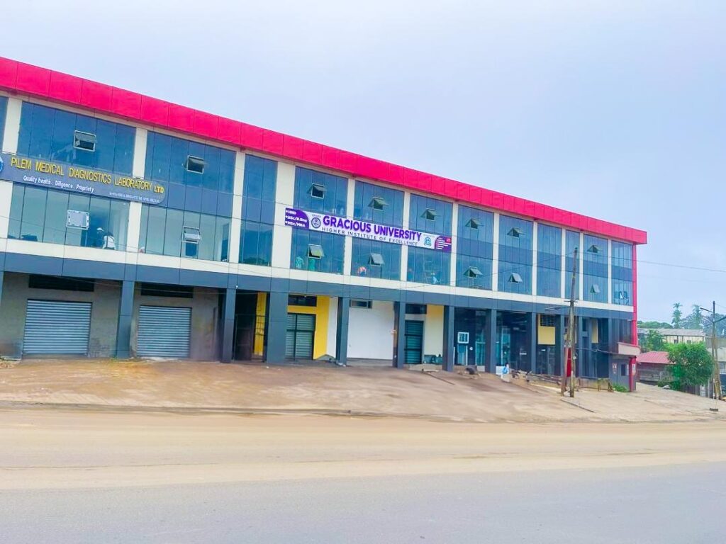 Gracious Higher Institute of Excellence