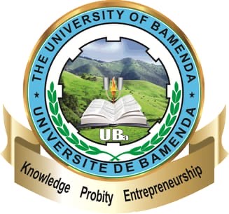The university of Bamenda