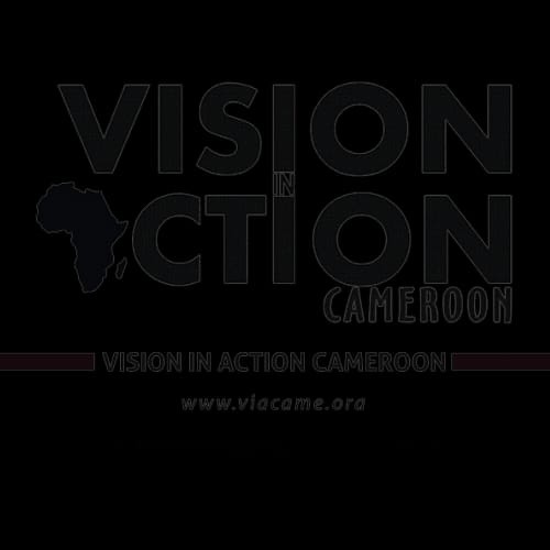 Vision in Action Cameroon
